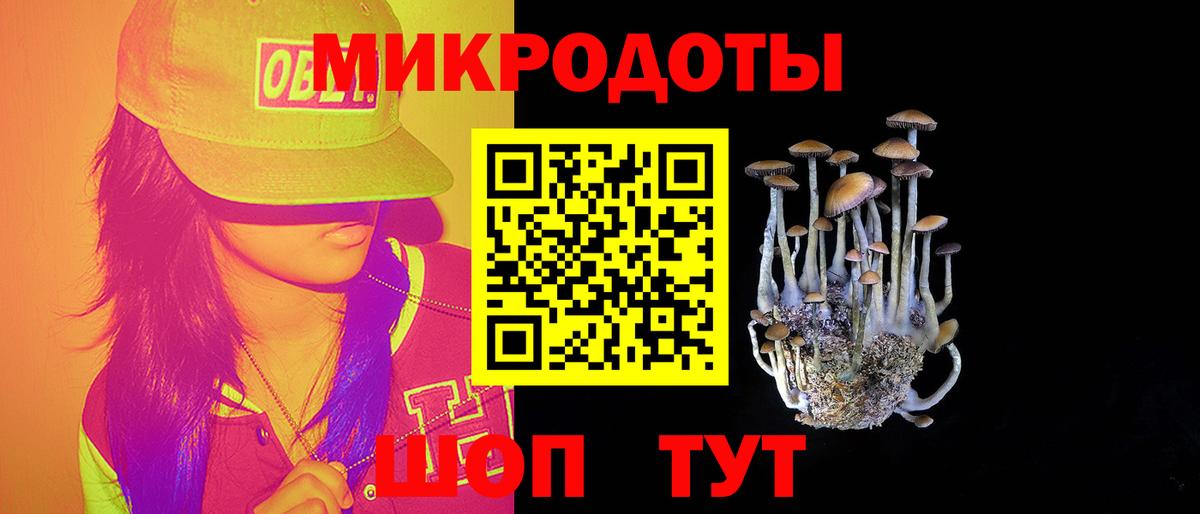 Славгород  продажа наркотиков  Псилоцибиновые грибы мухоморы  Вход с VPN  Галлюциногенные грибы ЛСД 