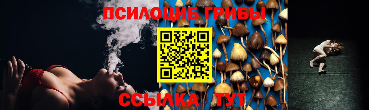 Псилоцибиновые грибы прущие грибы Славгород