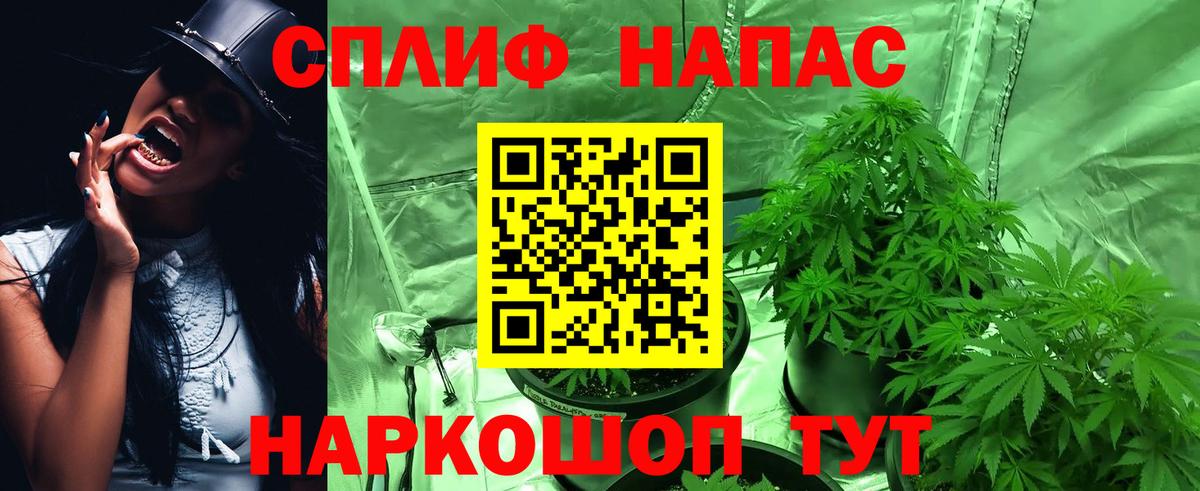 Шишки марихуана Bruce Banner  Марихуана марихуана  Славгород  Каннабис сатива  Вход с VPN 
